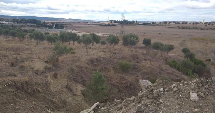 Land of 11600 m² for sale in sidi hssayen 