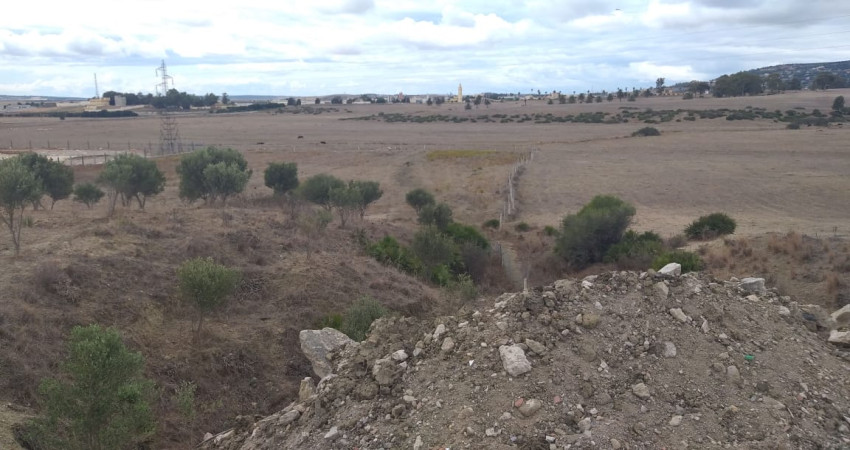 Land of 13000m² titled